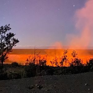 Meet your Posher, Danora